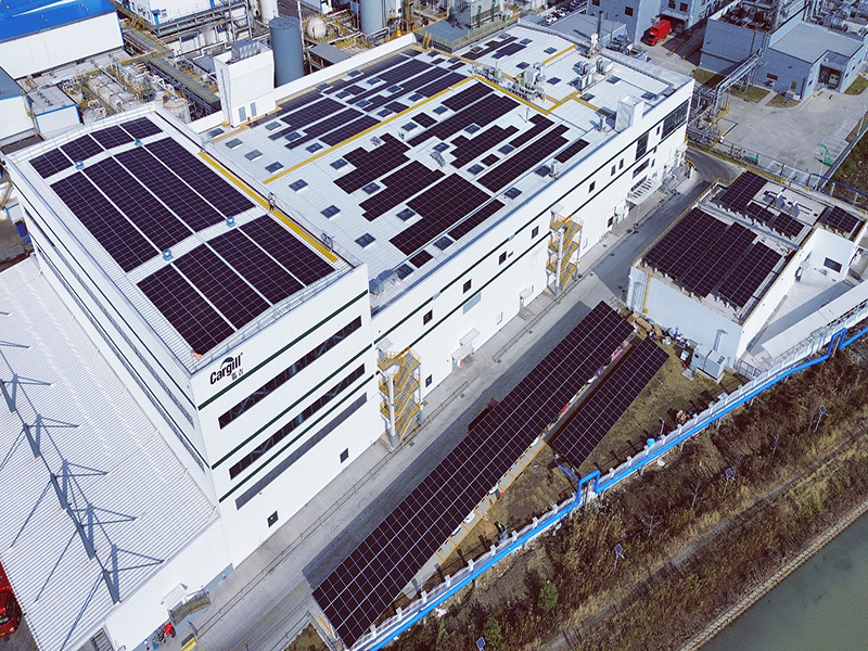 平湖嘉吉750KW分布式光伏發(fā)電項目